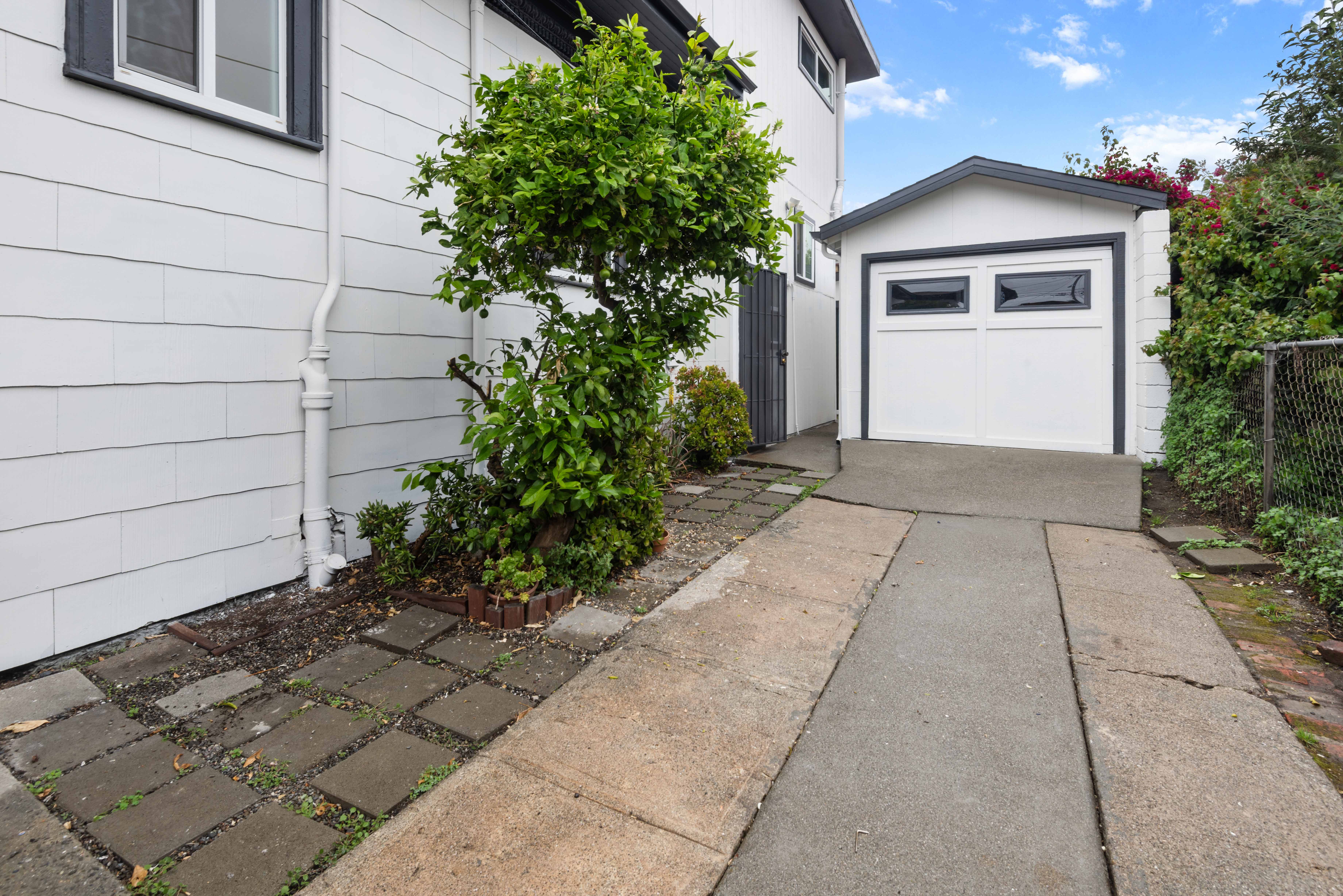 Lemon tree and backyard